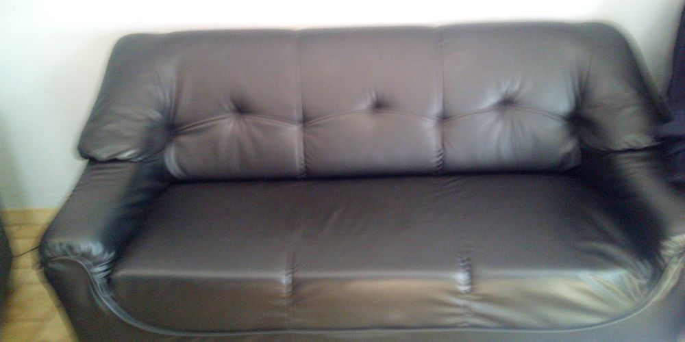 canap� vert fonc� simili cuir 80 Saint-Florent-sur-Auzonnet (30)