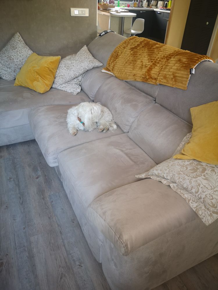 Canap� 350 Villiers-sur-Marne (94)