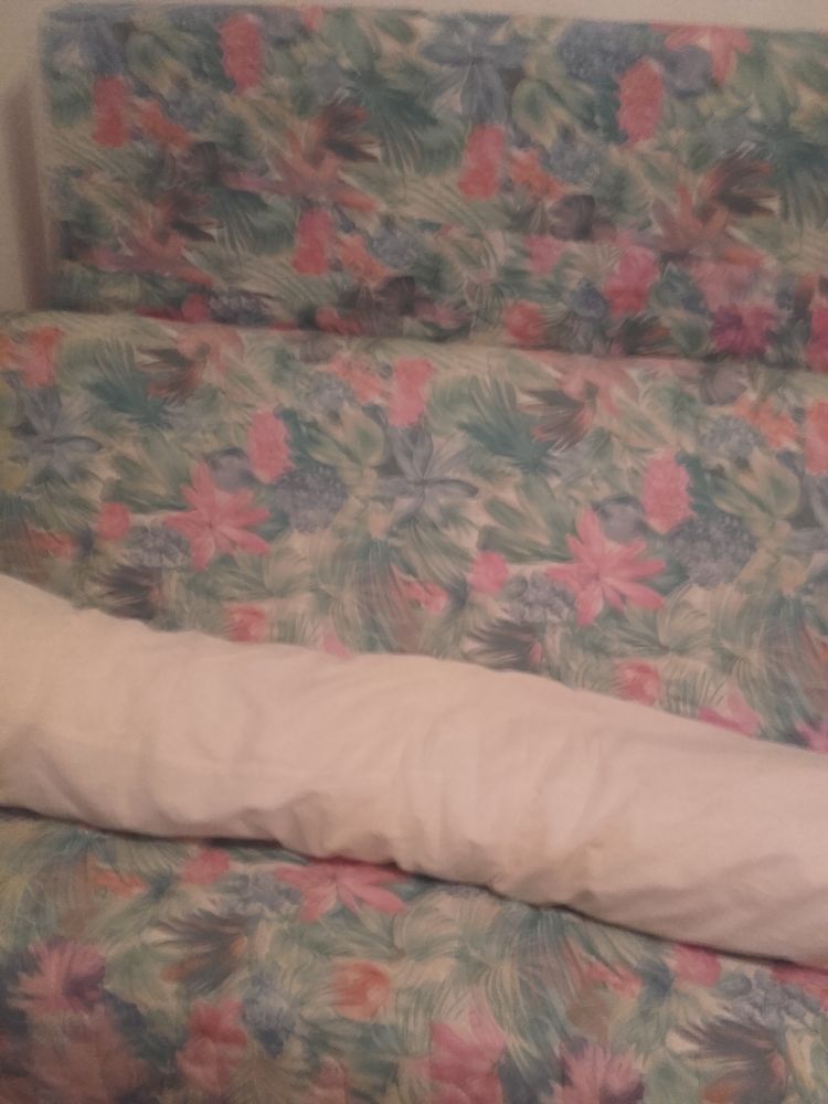  canap� lit 70 Bagnols-sur-C�ze (30)