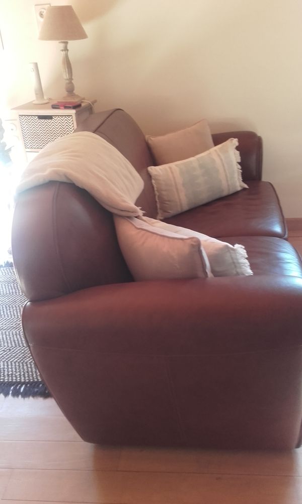 CANAPE 300 Druillat (01)