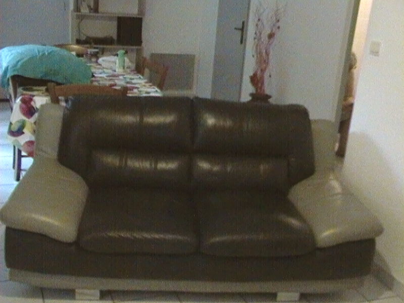 canap� 100 Aucamville (31)