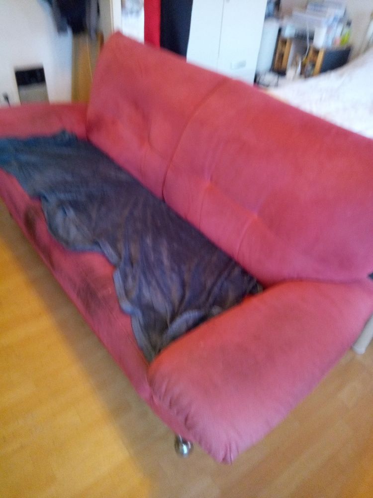 Canap� 0 Levier (25)