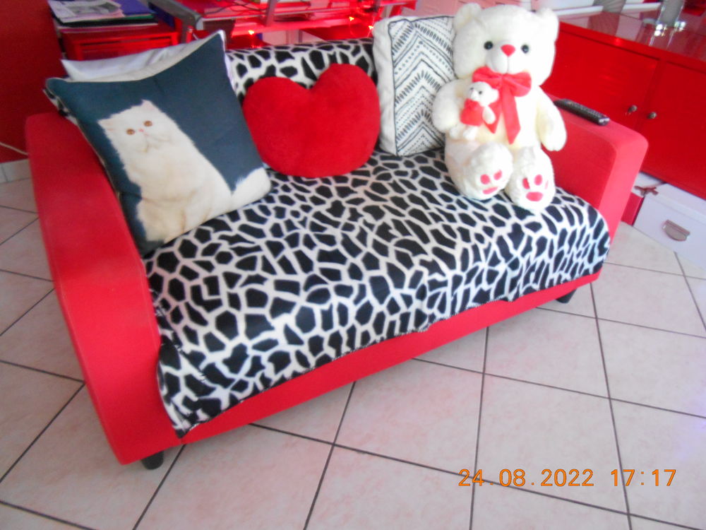 CANAPE 50 Chevigny-Saint-Sauveur (21)