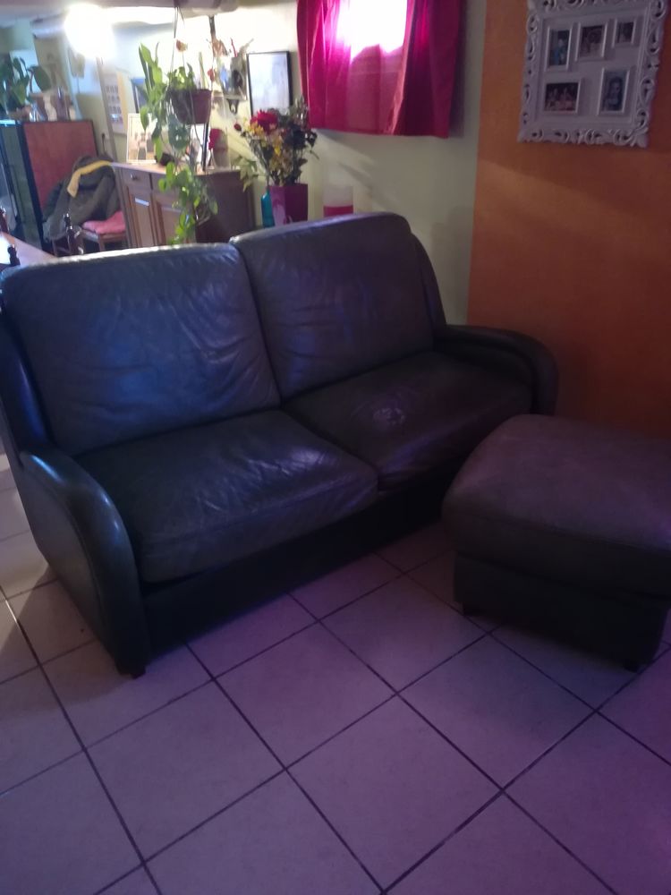 canap� 100 Loches (37)