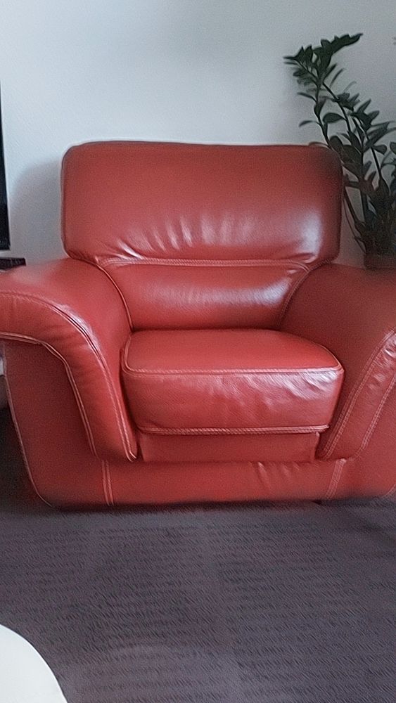 Canap� 300 Illzach (68)