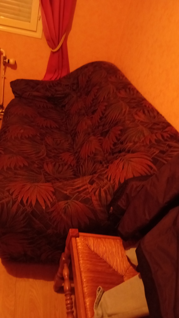 Canap� 50 Pierrefitte-sur-Loire (03)