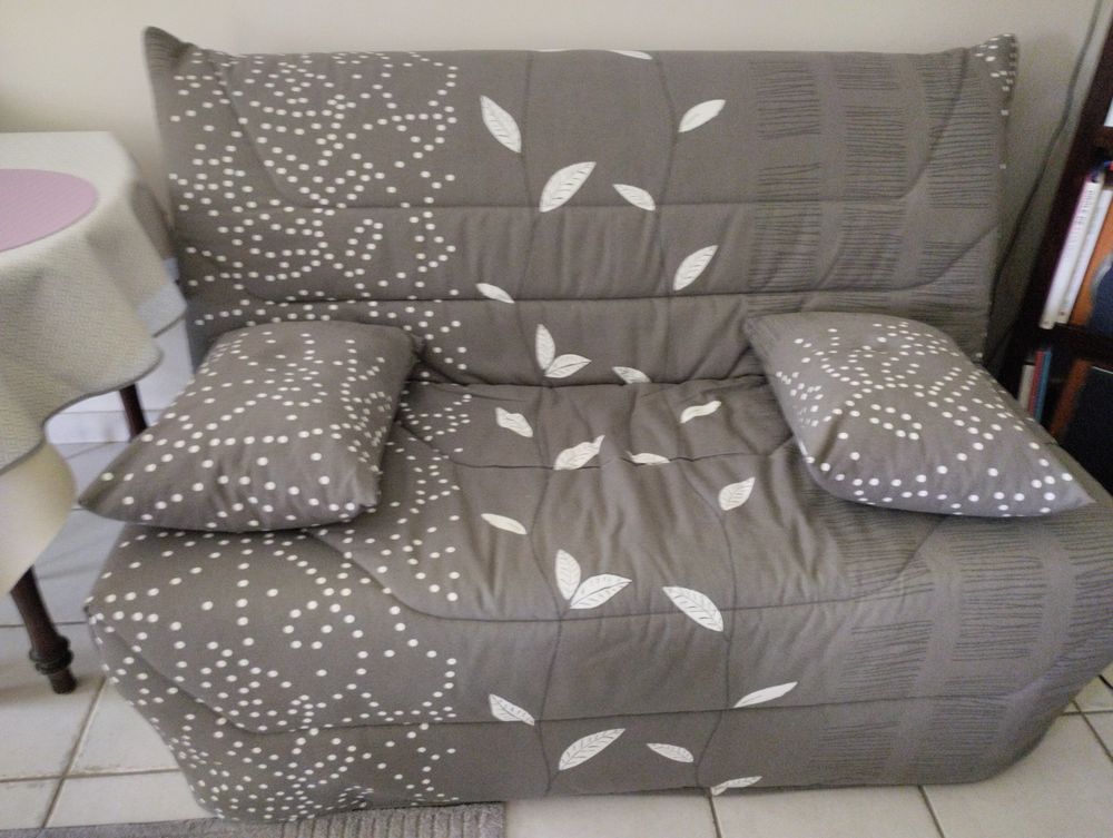 Canap� BZ 300 Amboise (37)