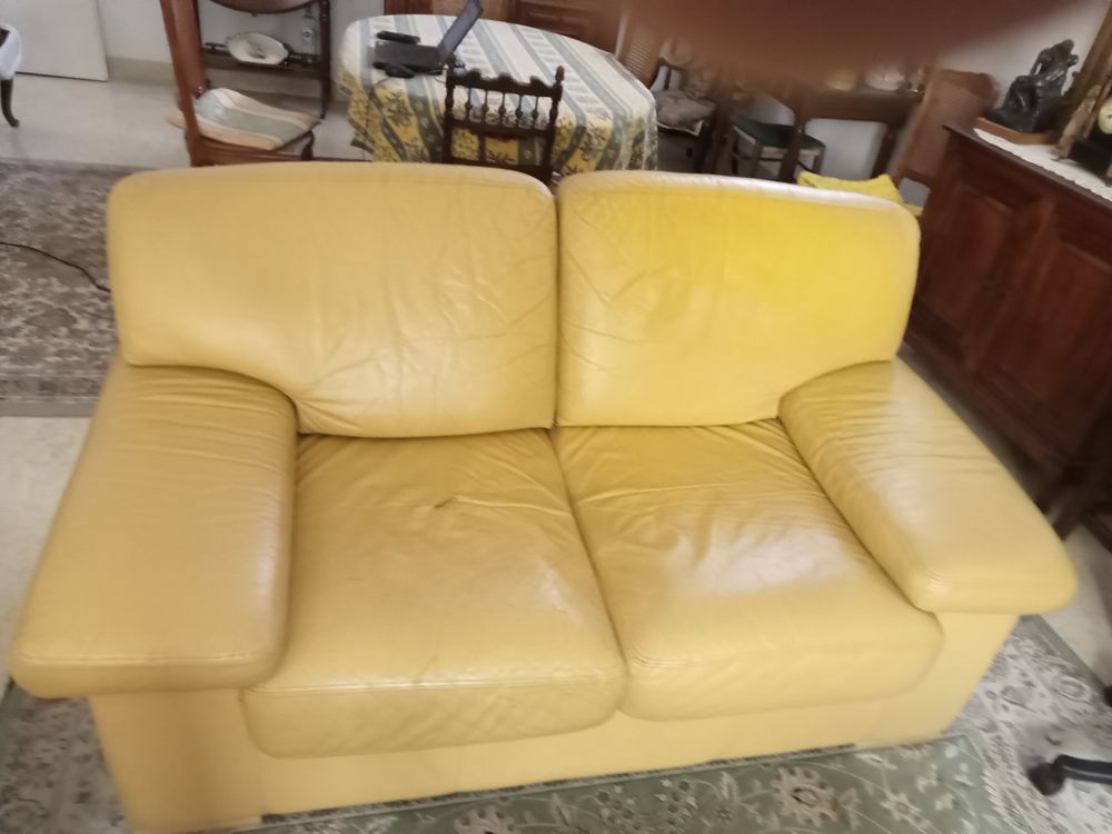 Canape2 places + fauteuil cuir 1 place 0 Montpellier (34)