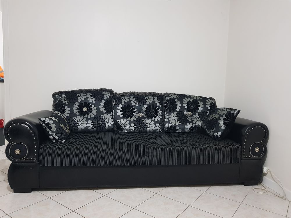 canap�s + lit Aloe vera 500 Chelles (77)