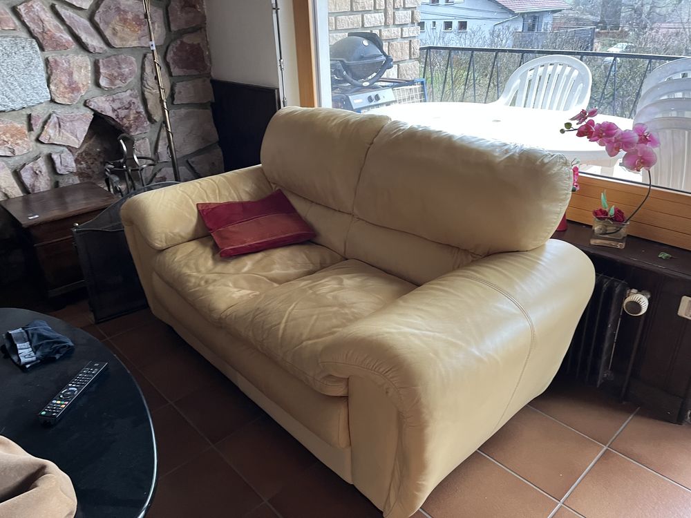 2 Canap�s cuir bon etat 80 Thoiry (01)