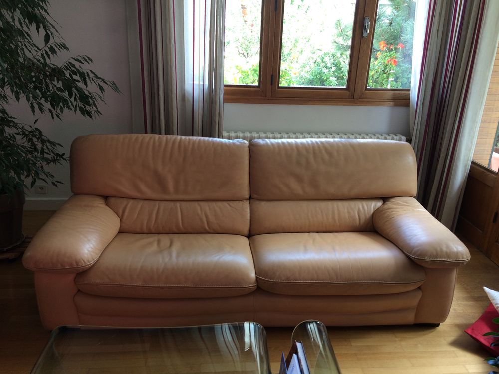 Canap�s en cuir Roche Bobois 950 Saint-Jean-de-Maurienne (73)