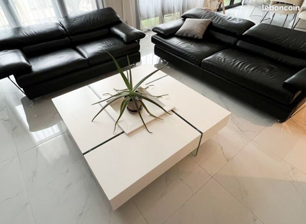 Canap�s cuir Roche Bobois + table basse contemporaine MOSS 2900 Lyon 6 (69)