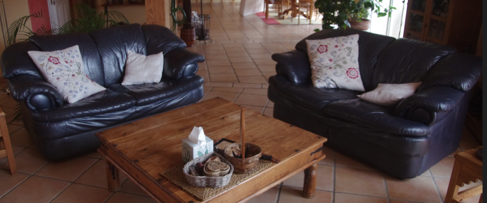 Canapes cuir 350 Saint-Julien-en-Born (40)