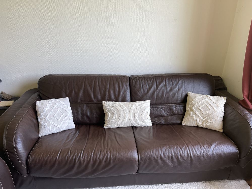 canap�s en cuir 500 Digoin (71)