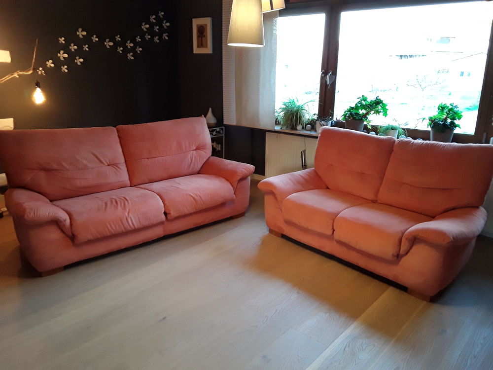 CANAPES 2 ET 3 PLACES 80 Metting (57)