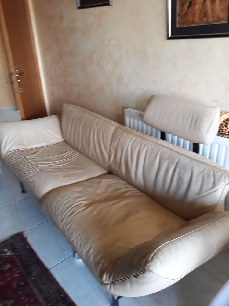 canap�s DE SEDE r�f 140 Cuir Select 300 Bruebach (68)