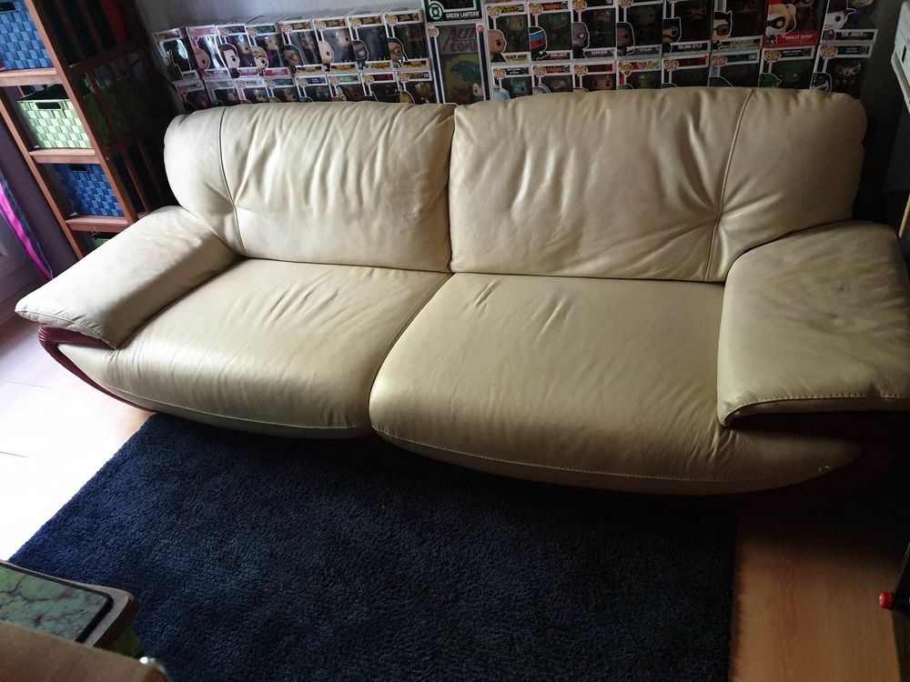 Canap�s v�ritable cuir 250 Thise (25)