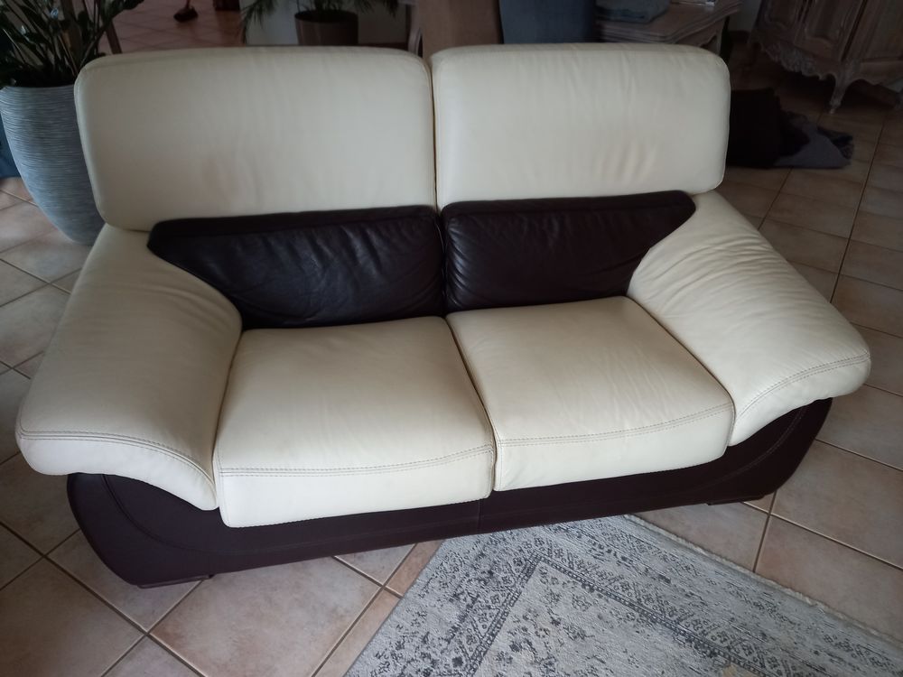 Canap�s 300 Denguin (64)