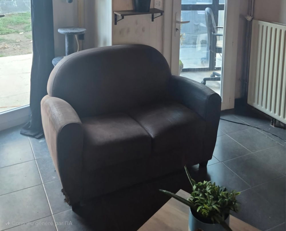 lot de 2 canap�s 300 Carcassonne (11)