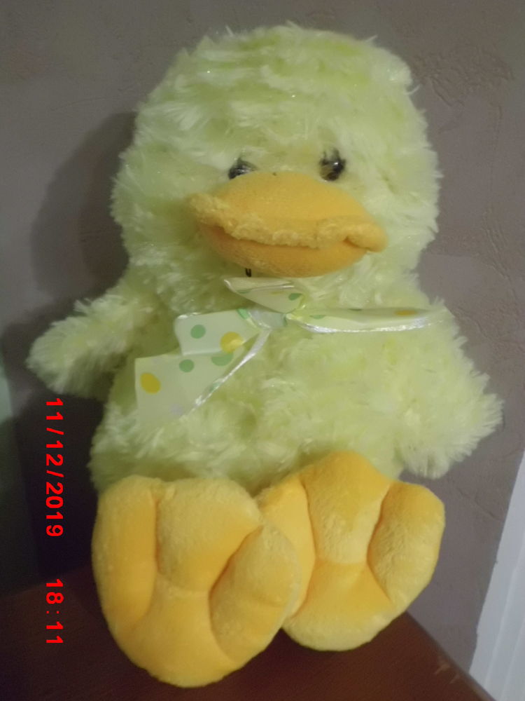 CANARD JAUNE ET ORANGE SNC 15 Oignies (62)