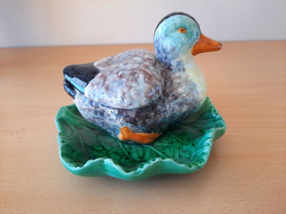 CANARD Moutardier 5 Perpignan (66)