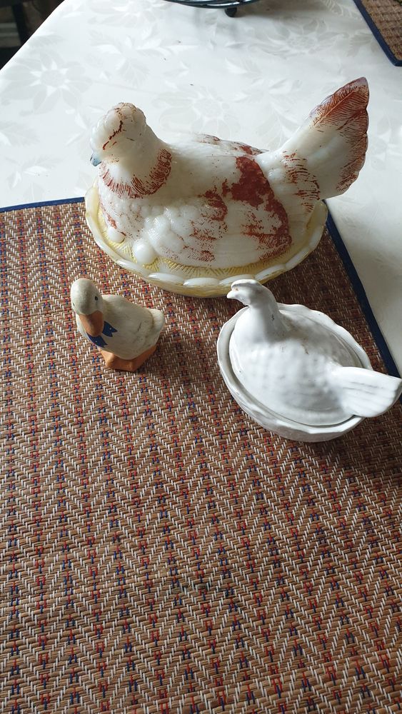 Canard + poules �  10 euros 10 Strasbourg (67)