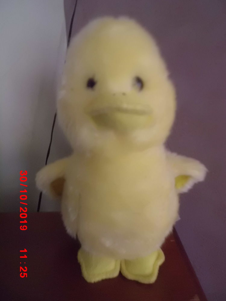 CANARD SONORE PEEKO 13 Oignies (62)