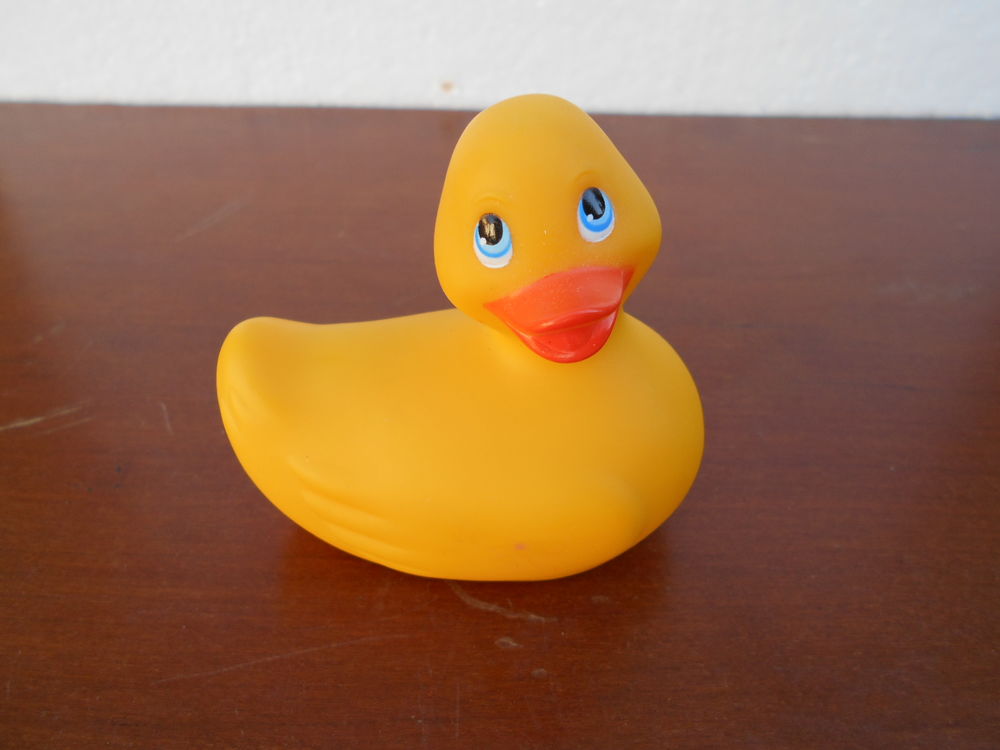 CANARD VIBRANT JAUNE 17 Dammarie-les-Lys (77)