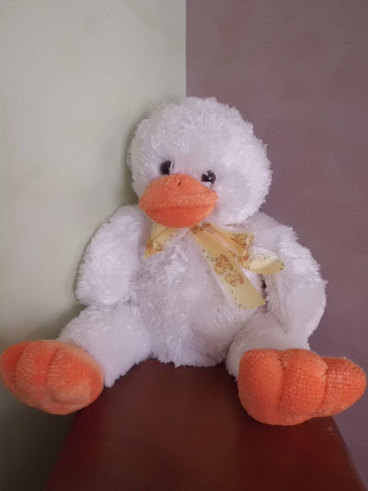 CANARD MGM 17 Oignies (62)