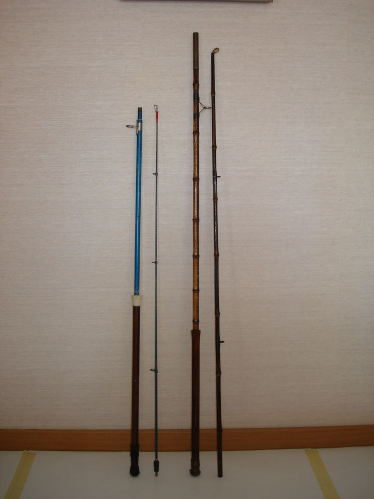 canes � p�che 100 Soissons (02)