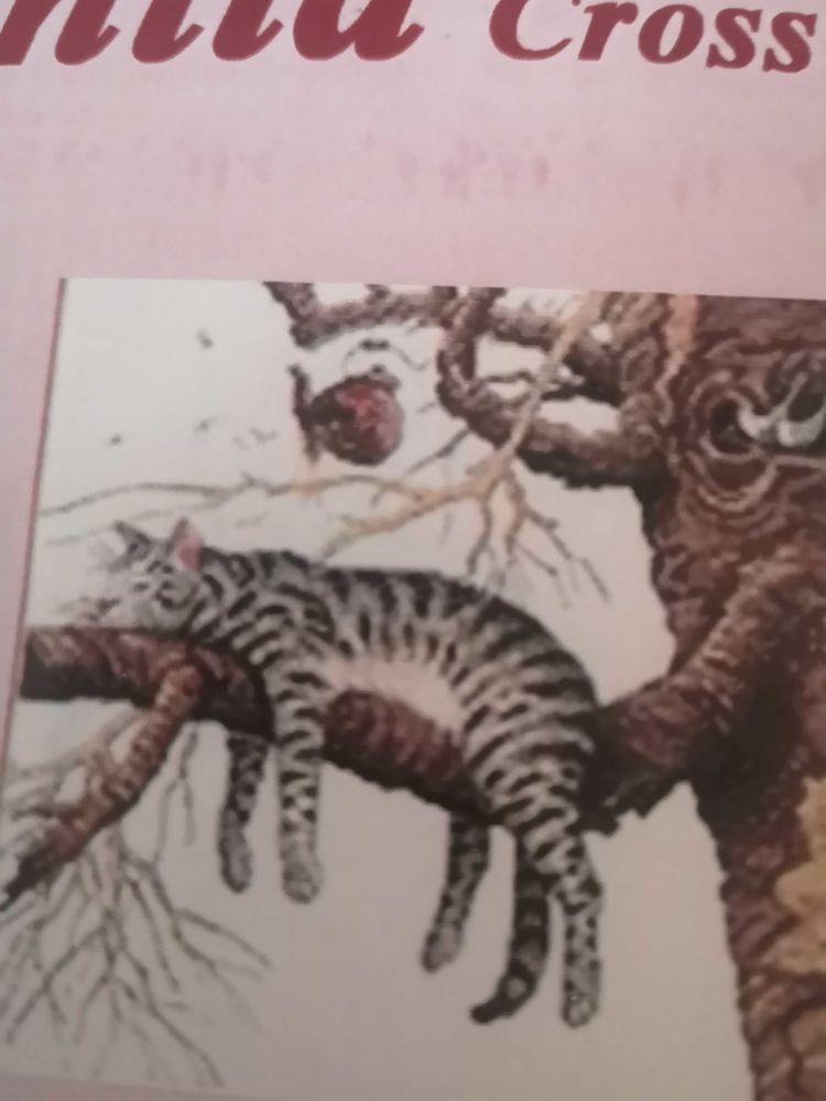 canevas point compt� 6 Beauvais (60)