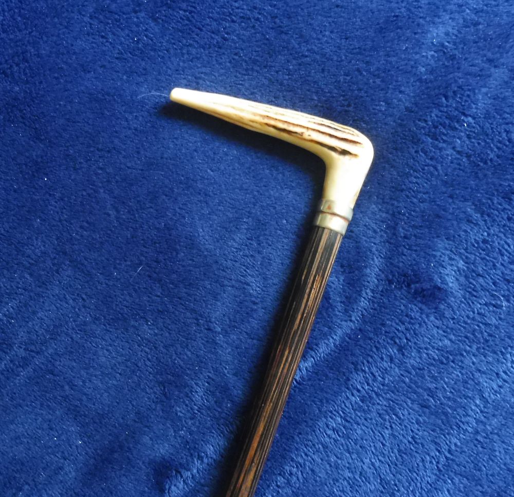 Canne ancienne en bois, pommeau en corne 65 Limoges (87)