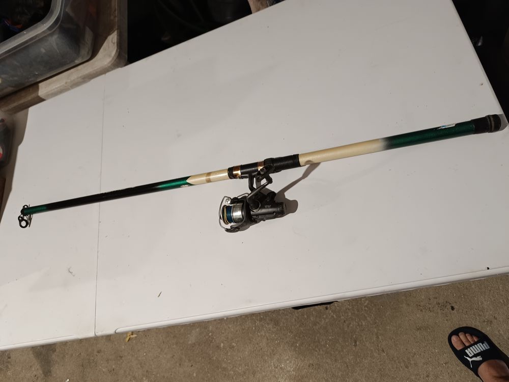 Canne avec moulinet 15 Rochefort (17)