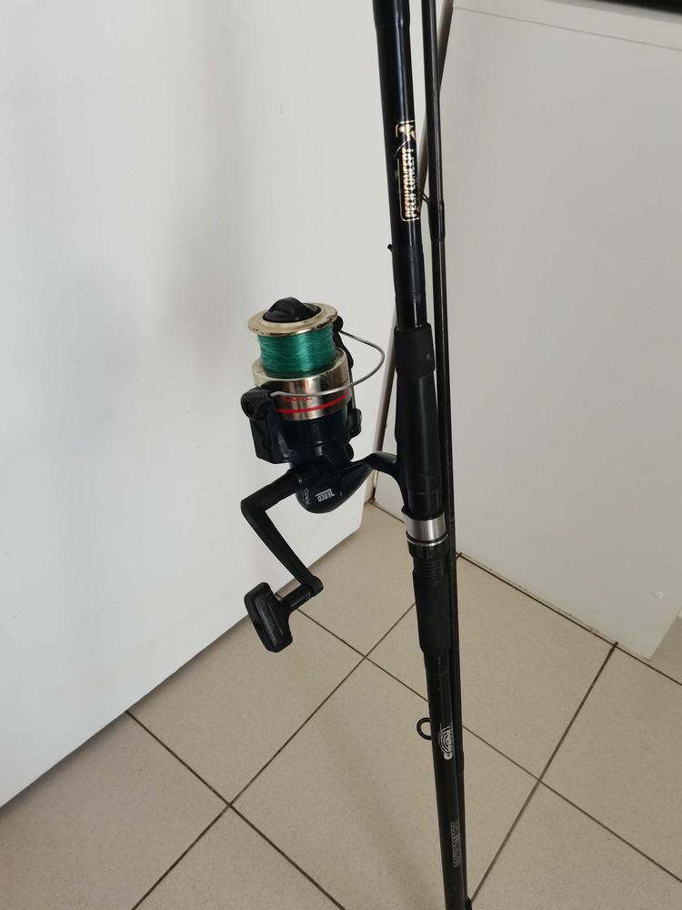 canne �  carpe 60 La Guerche-de-Bretagne (35)