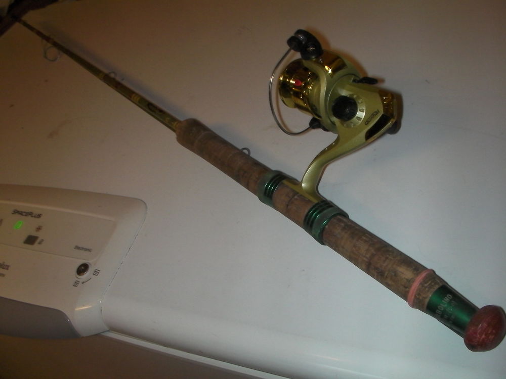 Canne au lancer + moulinet 1.80m garbolino 48 Roques (31)