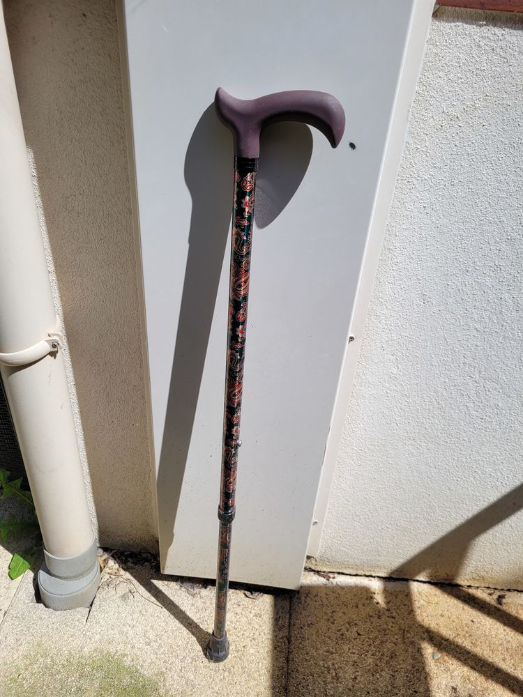 Canne de marche 10 Villepreux (78)