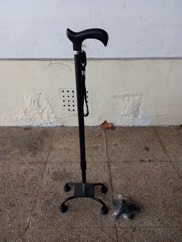 Canne de marche 10 Bassens (33)