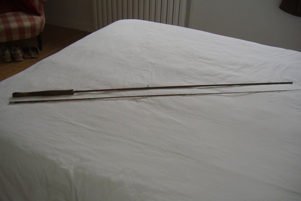 CANNE A MOUCHE 95 Drumettaz-Clarafond (73)