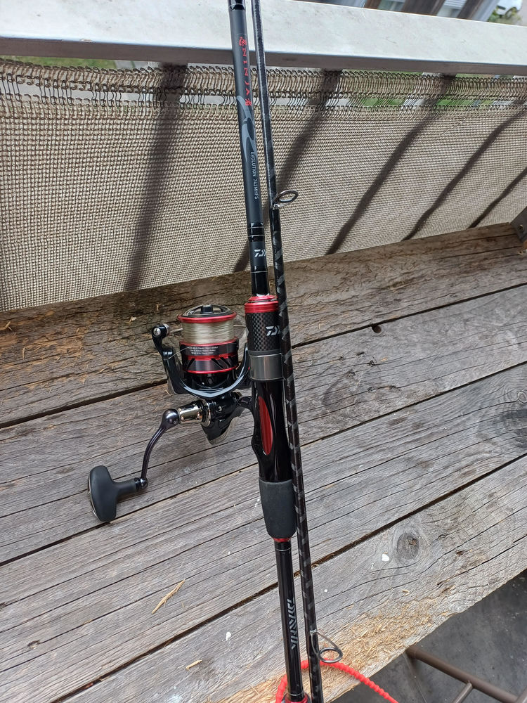 canne a peche dawia +moulinet 65 Bassens (73)