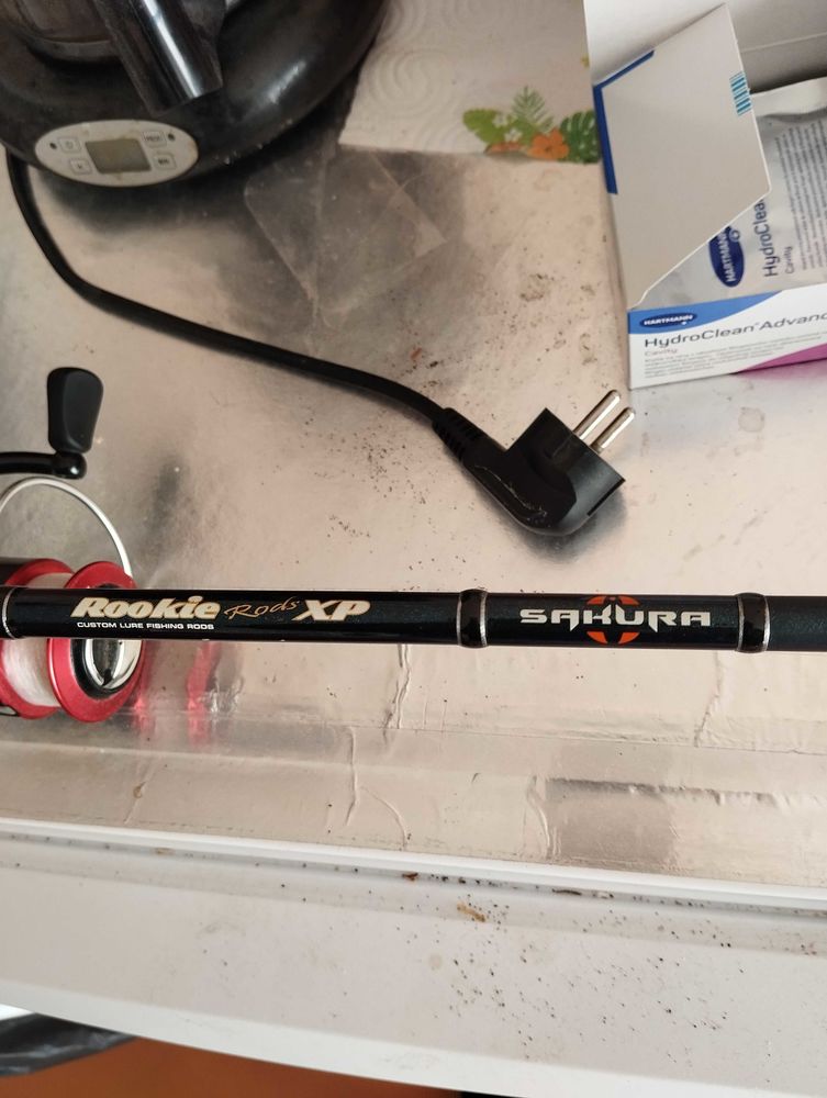 canne � p�che Bon �tat il y a deux avec accessoires donner moi un prix de 80 Cazaubon (32)