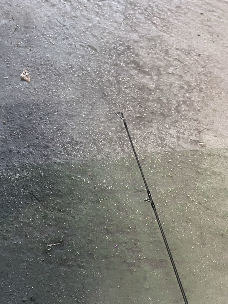 canne �   p�che scorpium 10\'3.00Lbs 20 Thiant (59)