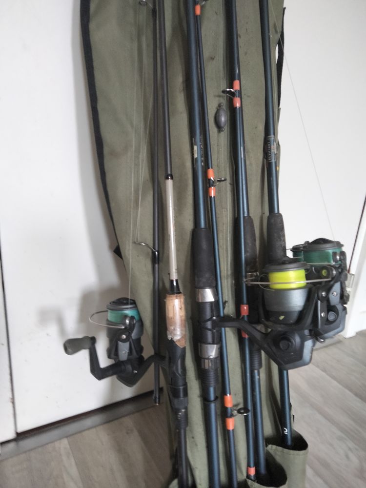 Lot canne � p�che ? 100 Juran�on (64)