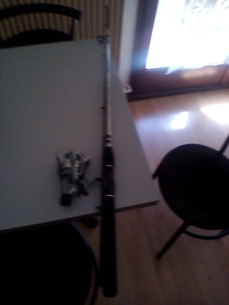 canne � p�che 20 Dombasle-sur-Meurthe (54)