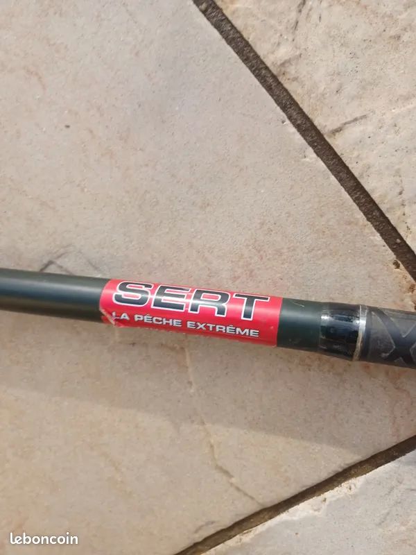 CANNE A PECHE 16 Paray-le-Monial (71)