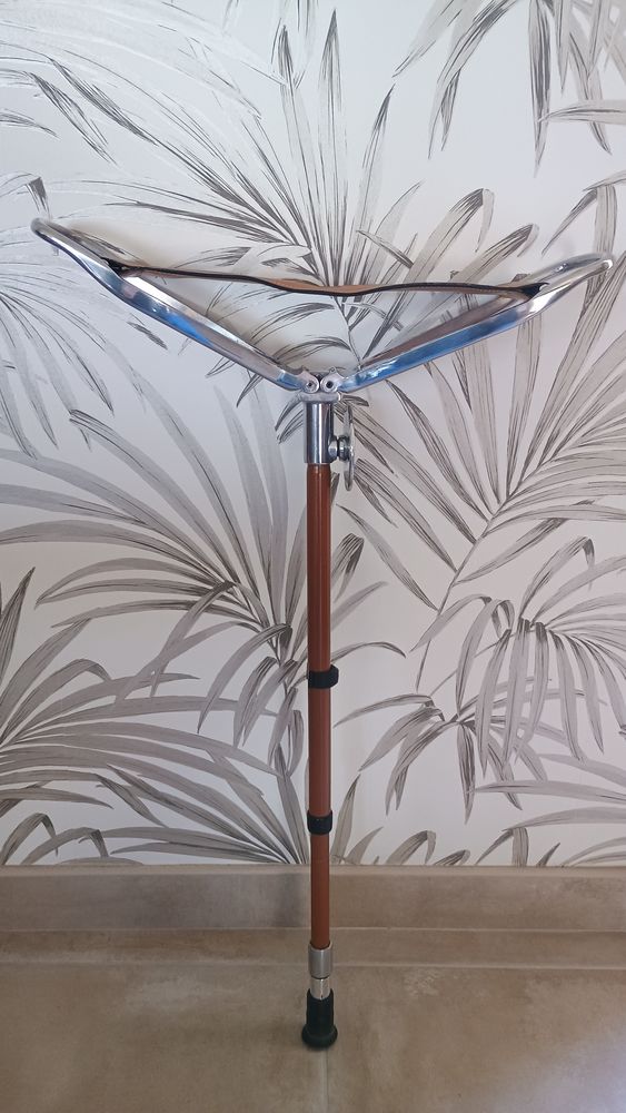 Canne siege 29 Couzeix (87)