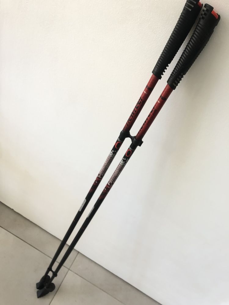 cannes de randonn�e 25 Mauguio (34)