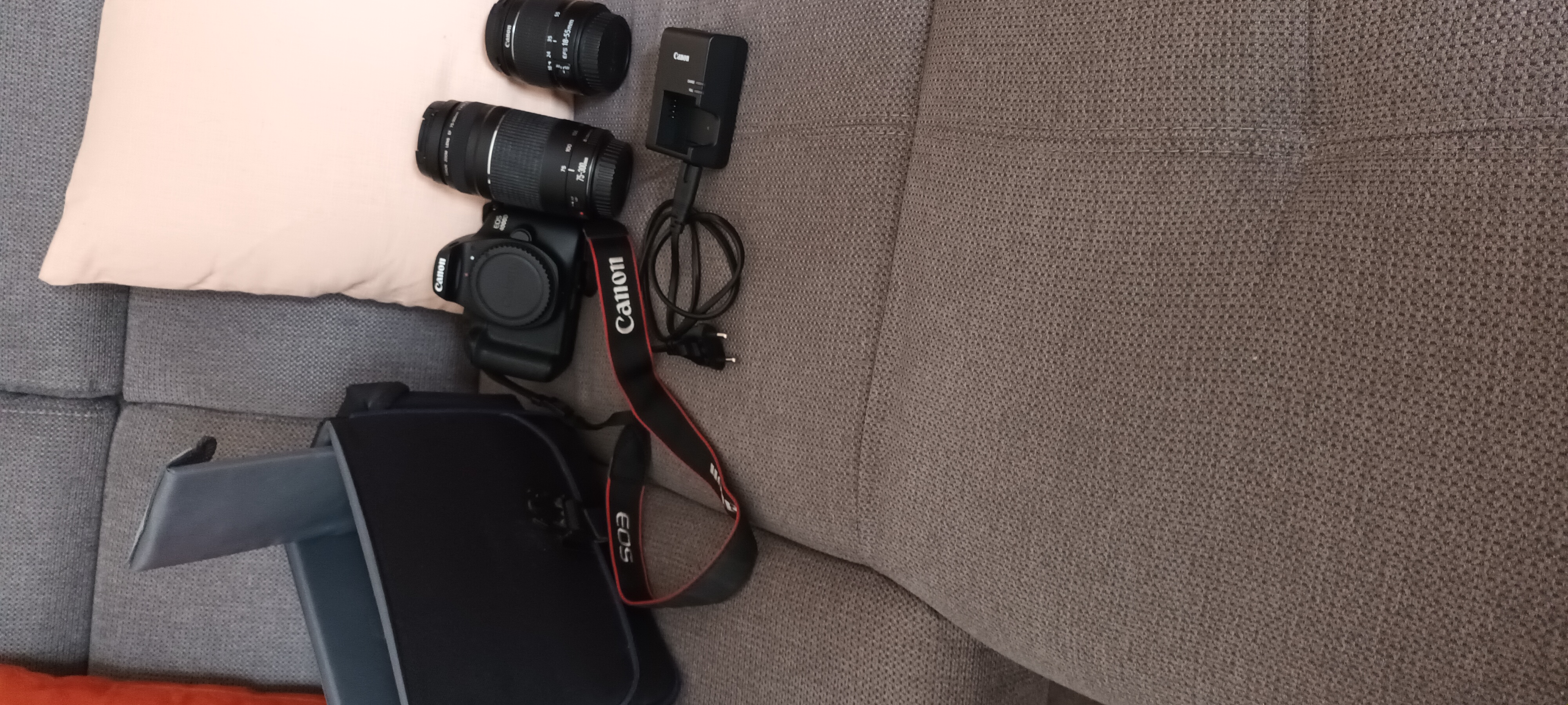 Canon EOS 4000D plus Objectifs 450 L'Isle-Jourdain (32)