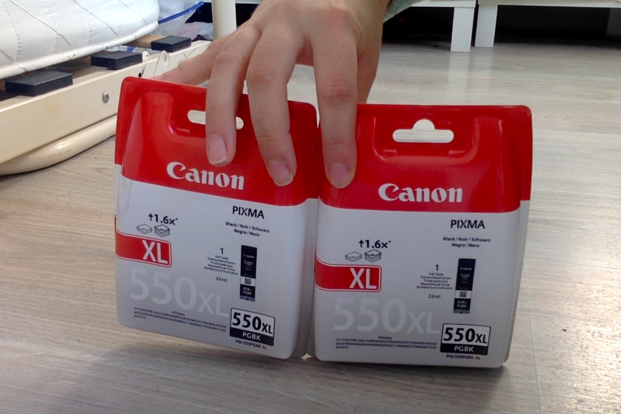 lot de 2 Canon PGI-550XL Cartouche BK Noire XL (pack p 0 Marzan (56)