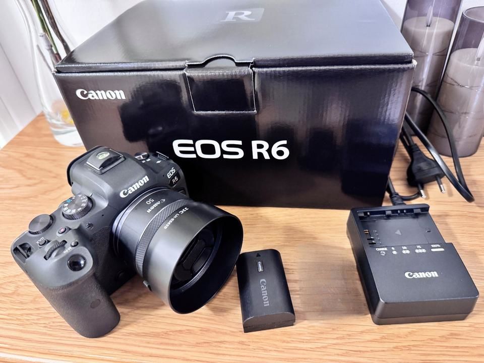 Canon EOS R6 avec objectif RF 50mm f/1.8 / RF 24-105mm f/4-7 1500 Ch�teauneuf-de-Galaure (26)