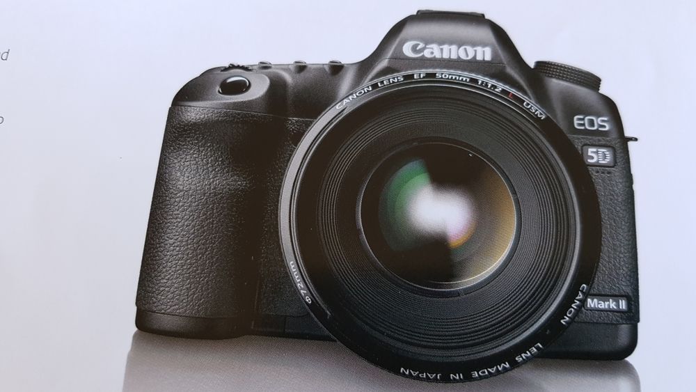 CANON EOS 5 MARK II 0 Bordeaux (33)